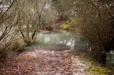 Etang de Paloumey   Chemin totalement innondé.